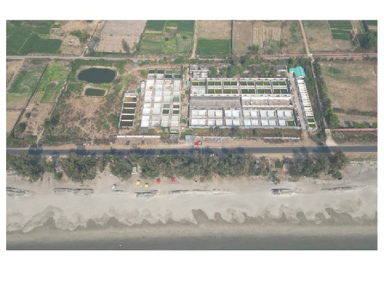 The Shoreline Grand Hotel & Resort, Cox's Bazar photo 11