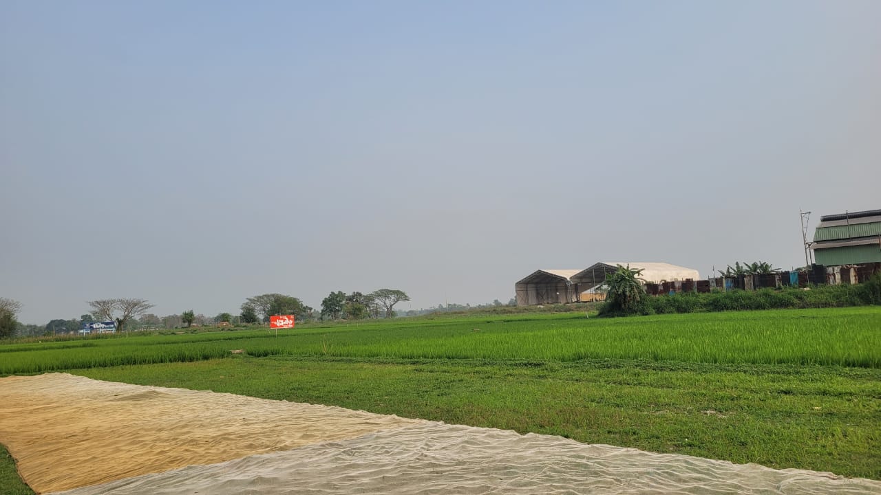 Swapnoneer Eco City, Vulta gallery